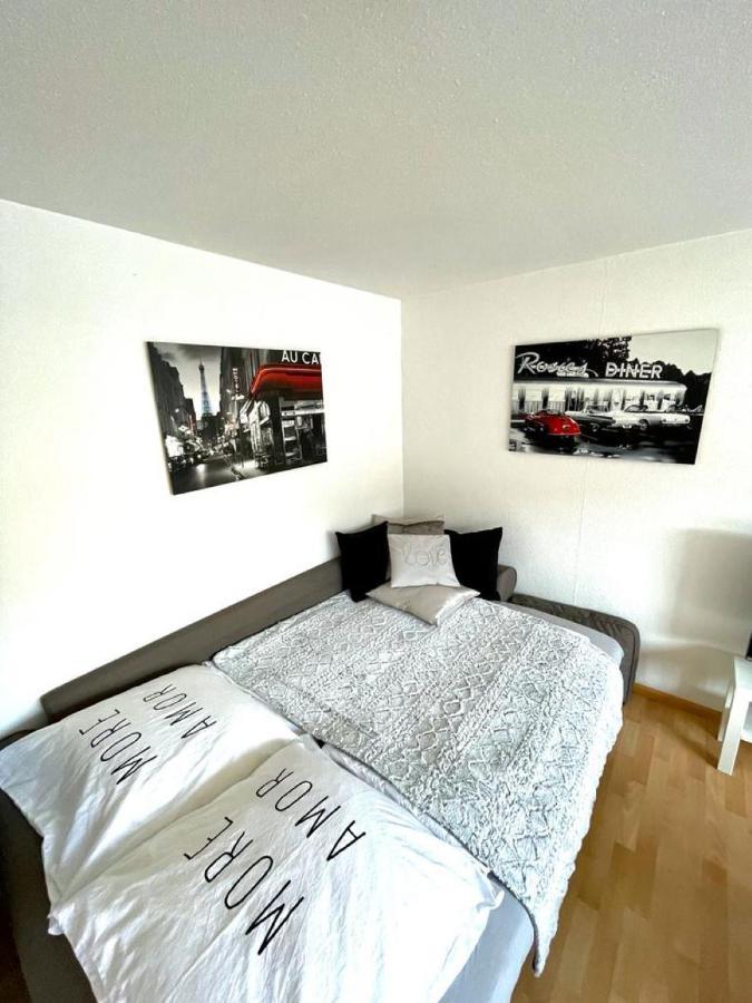 Nice And Comfortable, Centrally Located Apartment Rheinfelden  Buitenkant foto